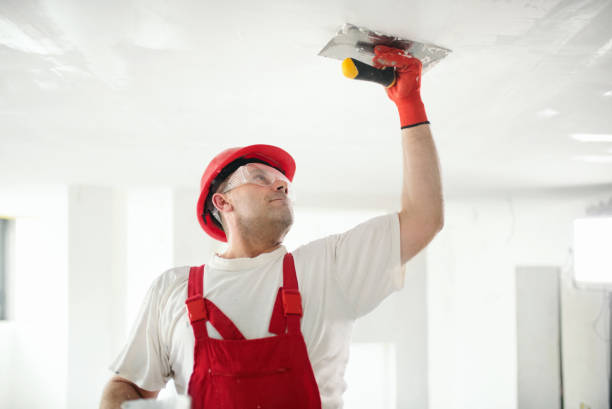 Best Exterior Painting  in Royalton, IL